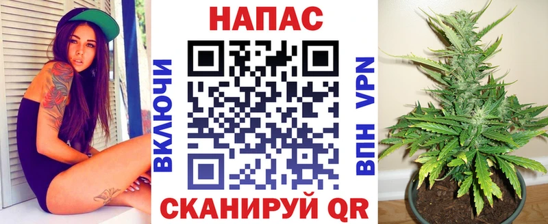 наркота  KRAKEN вход  площадка клад  Нерчинск  Бошки марихуана сатива 